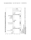 IMMUNOGENIC COMPOSITIONS FOR STREPTOCOCCUS PYOGENES diagram and image