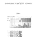 METHODS AND INTRAVASCULAR TREATMENT DEVICES USING PACLITAXEL FOR TREATMENT     OF ATHEROSCLEROSIS diagram and image