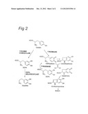 SENSITIZATION OF IMMUNE SYSTEM AGAINST HAPTENIZED MELANOMA ANTIGENS diagram and image