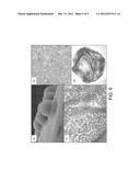 LIQUID-FILLED CHITOSAN-ANIONIC LIPOSOLUBLE SURFACTANT CAPSULE DISPERSIONS diagram and image