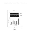 USES OF FORMULATIONS OF THYROID HORMONE ANALOGS AND NANOPARTICULATE FORMS     THEREOF TO INCREASE CHEMOSENSIVITY AND RADIOSENSITIVITY IN TUMOR OR     CANCER CELLS diagram and image