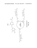 USES OF FORMULATIONS OF THYROID HORMONE ANALOGS AND NANOPARTICULATE FORMS     THEREOF TO INCREASE CHEMOSENSIVITY AND RADIOSENSITIVITY IN TUMOR OR     CANCER CELLS diagram and image