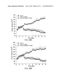 USES OF FORMULATIONS OF THYROID HORMONE ANALOGS AND NANOPARTICULATE FORMS     THEREOF TO INCREASE CHEMOSENSIVITY AND RADIOSENSITIVITY IN TUMOR OR     CANCER CELLS diagram and image