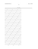 INFLUENZA HEMAGGLUTININ ANTIBODIES, COMPOSITIONS AND RELATED METHODS diagram and image