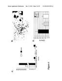 LARGE SCALE GENERATION OF FUNCTIONAL MEGAKARYOCYTES AND PLATELETS FROM     HUMAN EMBRYONIC STEM CELLS UNDER STROMAL-FREE CONDITIONS diagram and image