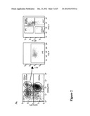 LARGE SCALE GENERATION OF FUNCTIONAL MEGAKARYOCYTES AND PLATELETS FROM     HUMAN EMBRYONIC STEM CELLS UNDER STROMAL-FREE CONDITIONS diagram and image