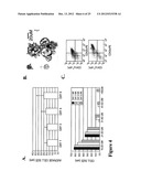 LARGE SCALE GENERATION OF FUNCTIONAL MEGAKARYOCYTES AND PLATELETS FROM     HUMAN EMBRYONIC STEM CELLS UNDER STROMAL-FREE CONDITIONS diagram and image