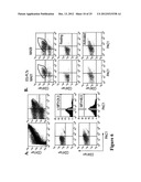 LARGE SCALE GENERATION OF FUNCTIONAL MEGAKARYOCYTES AND PLATELETS FROM     HUMAN EMBRYONIC STEM CELLS UNDER STROMAL-FREE CONDITIONS diagram and image