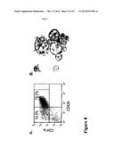 LARGE SCALE GENERATION OF FUNCTIONAL MEGAKARYOCYTES AND PLATELETS FROM     HUMAN EMBRYONIC STEM CELLS UNDER STROMAL-FREE CONDITIONS diagram and image