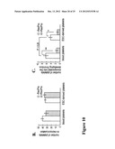 LARGE SCALE GENERATION OF FUNCTIONAL MEGAKARYOCYTES AND PLATELETS FROM     HUMAN EMBRYONIC STEM CELLS UNDER STROMAL-FREE CONDITIONS diagram and image