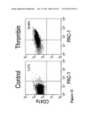 LARGE SCALE GENERATION OF FUNCTIONAL MEGAKARYOCYTES AND PLATELETS FROM     HUMAN EMBRYONIC STEM CELLS UNDER STROMAL-FREE CONDITIONS diagram and image