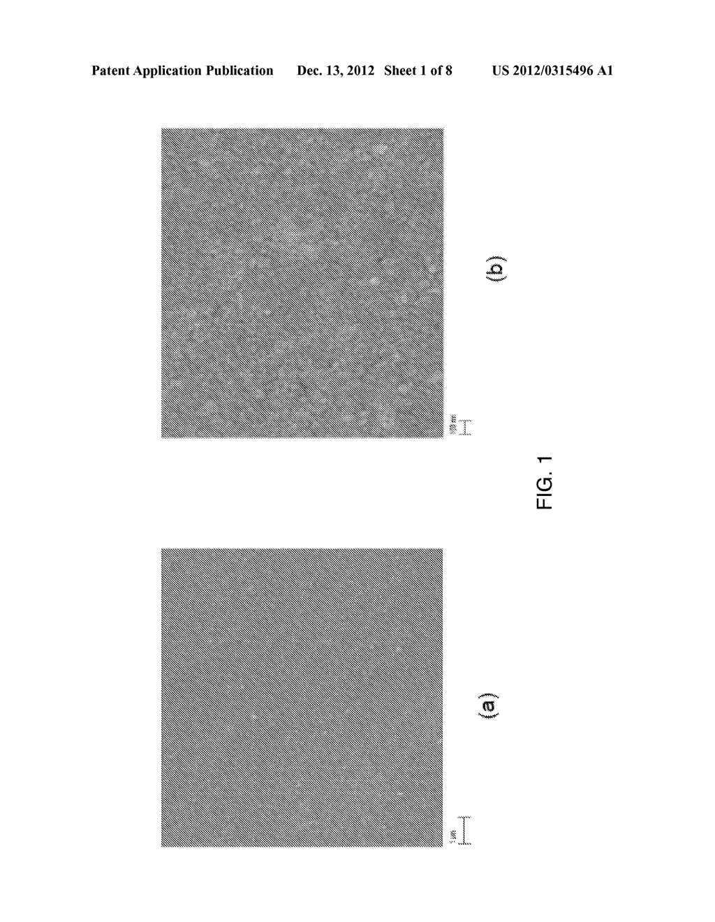 METHOD OF FORMING AN OXIDE COATING THAT REDUCES ACCUMULATION OF     RADIOACTIVE SPECIES ON A METALLIC SURFACE - diagram, schematic, and image 02
