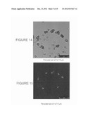 METHOD FOR DETERMINING THE EFFECTIVENESS OF STERILIZATION AND/OR     DISINFECTION PROCESS diagram and image