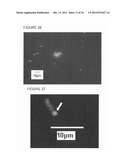 METHOD FOR DETERMINING THE EFFECTIVENESS OF STERILIZATION AND/OR     DISINFECTION PROCESS diagram and image