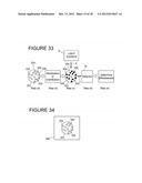 METHOD FOR DETERMINING THE EFFECTIVENESS OF STERILIZATION AND/OR     DISINFECTION PROCESS diagram and image