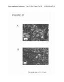 METHOD FOR DETERMINING THE EFFECTIVENESS OF STERILIZATION AND/OR     DISINFECTION PROCESS diagram and image