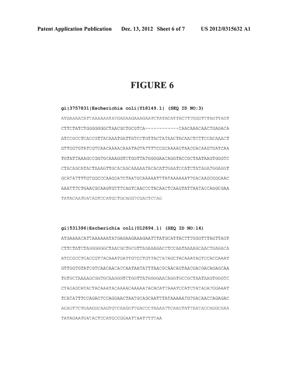 DETECTION OF E. COLI STRAINS TY2482 AND LB226692 - diagram, schematic, and image 07