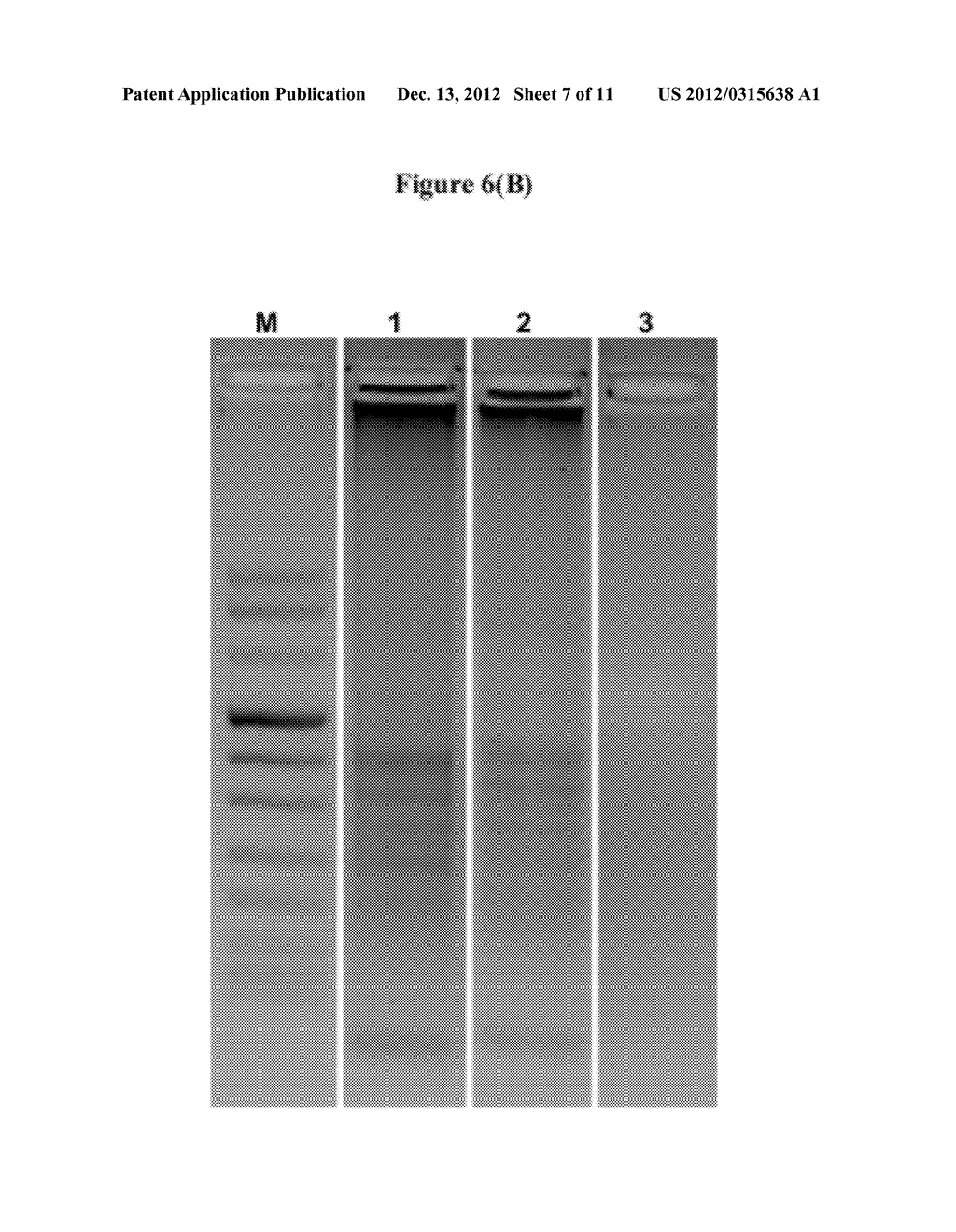 Moisture-Activated Self-Heating Analysis Device - diagram, schematic, and image 08