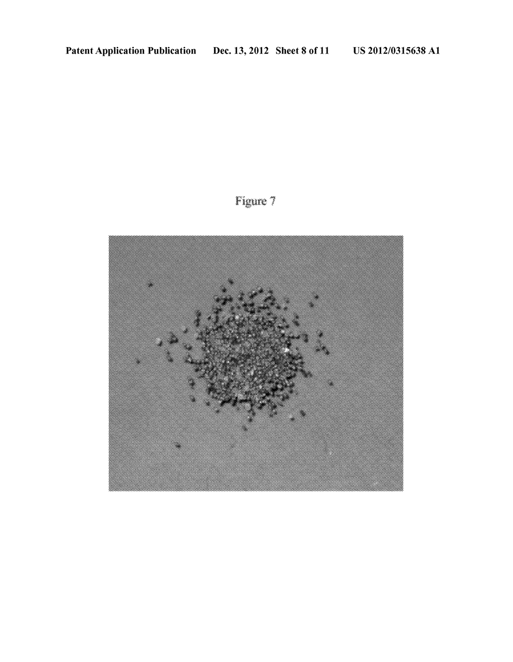 Moisture-Activated Self-Heating Analysis Device - diagram, schematic, and image 09