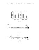 Alternative Splicing Constructs and Methods of Use diagram and image