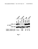 METHOD OF IDENTIFICATION OF CELLS THAT SHOW SENSITIVITY TO MODULATION OF     SIGNALING MEDIATED BY A FIBROBLAST GROWTH FACTOR RECEPTOR OR A VARIANT     THEREOF diagram and image