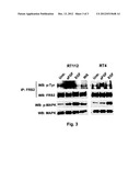 METHOD OF IDENTIFICATION OF CELLS THAT SHOW SENSITIVITY TO MODULATION OF     SIGNALING MEDIATED BY A FIBROBLAST GROWTH FACTOR RECEPTOR OR A VARIANT     THEREOF diagram and image