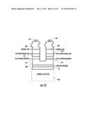 HYPERGLYCOSYLATED HCG DETECTION DEVICE diagram and image