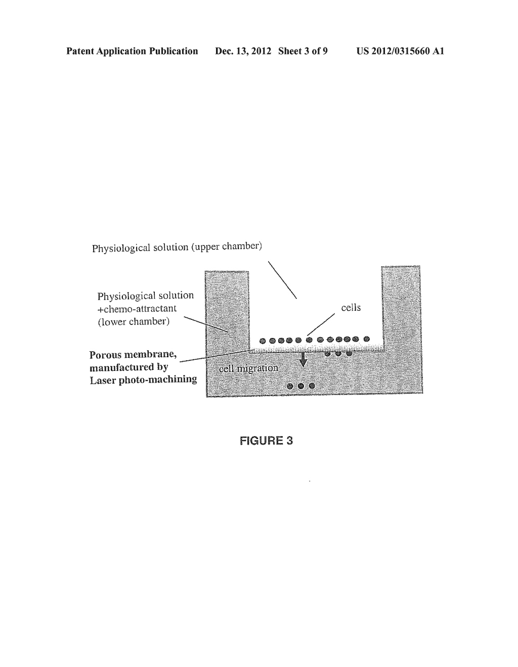 METHODS AND APPARATUS FOR IMPROVING IN VITRO MEASUREMENTS USING BOYDEN     CHAMBERS - diagram, schematic, and image 04