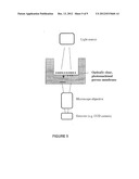 METHODS AND APPARATUS FOR IMPROVING IN VITRO MEASUREMENTS USING BOYDEN     CHAMBERS diagram and image