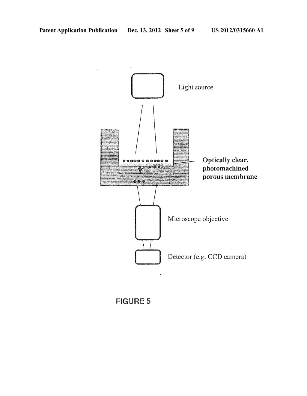 METHODS AND APPARATUS FOR IMPROVING IN VITRO MEASUREMENTS USING BOYDEN     CHAMBERS - diagram, schematic, and image 06