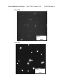 DETECTION APPARATUS AND METHOD FOR DETECTING AIRBORNE BIOLOGICAL PARTICLES diagram and image