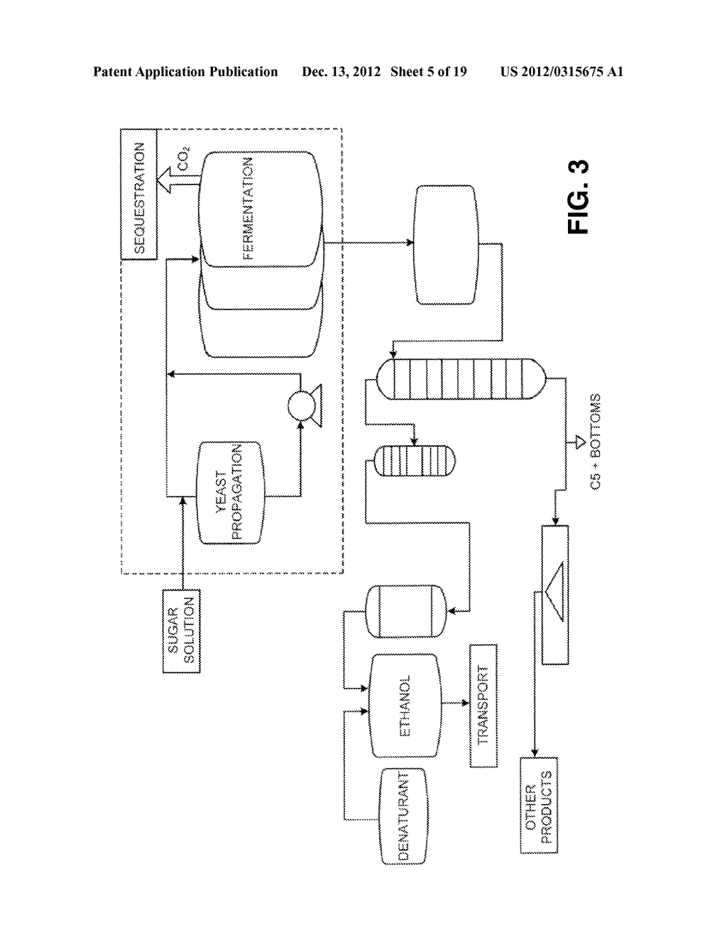 PROCESSING BIOMASS - diagram, schematic, and image 06