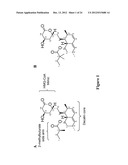 METHODS AND MATERIALS FOR MAKING SIMVASTATIN AND RELATED COMPOUNDS diagram and image