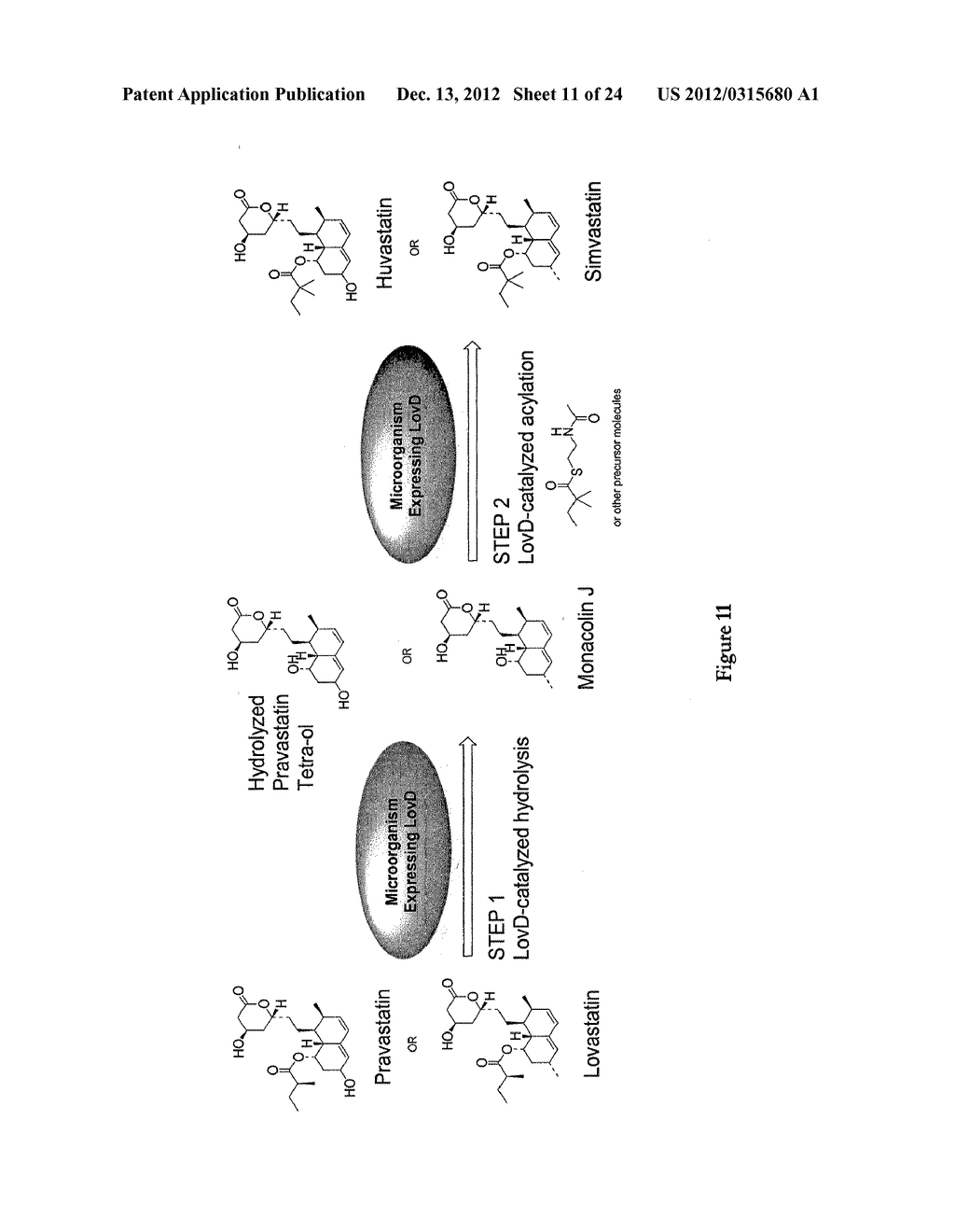 METHODS AND MATERIALS FOR MAKING SIMVASTATIN AND RELATED COMPOUNDS - diagram, schematic, and image 12