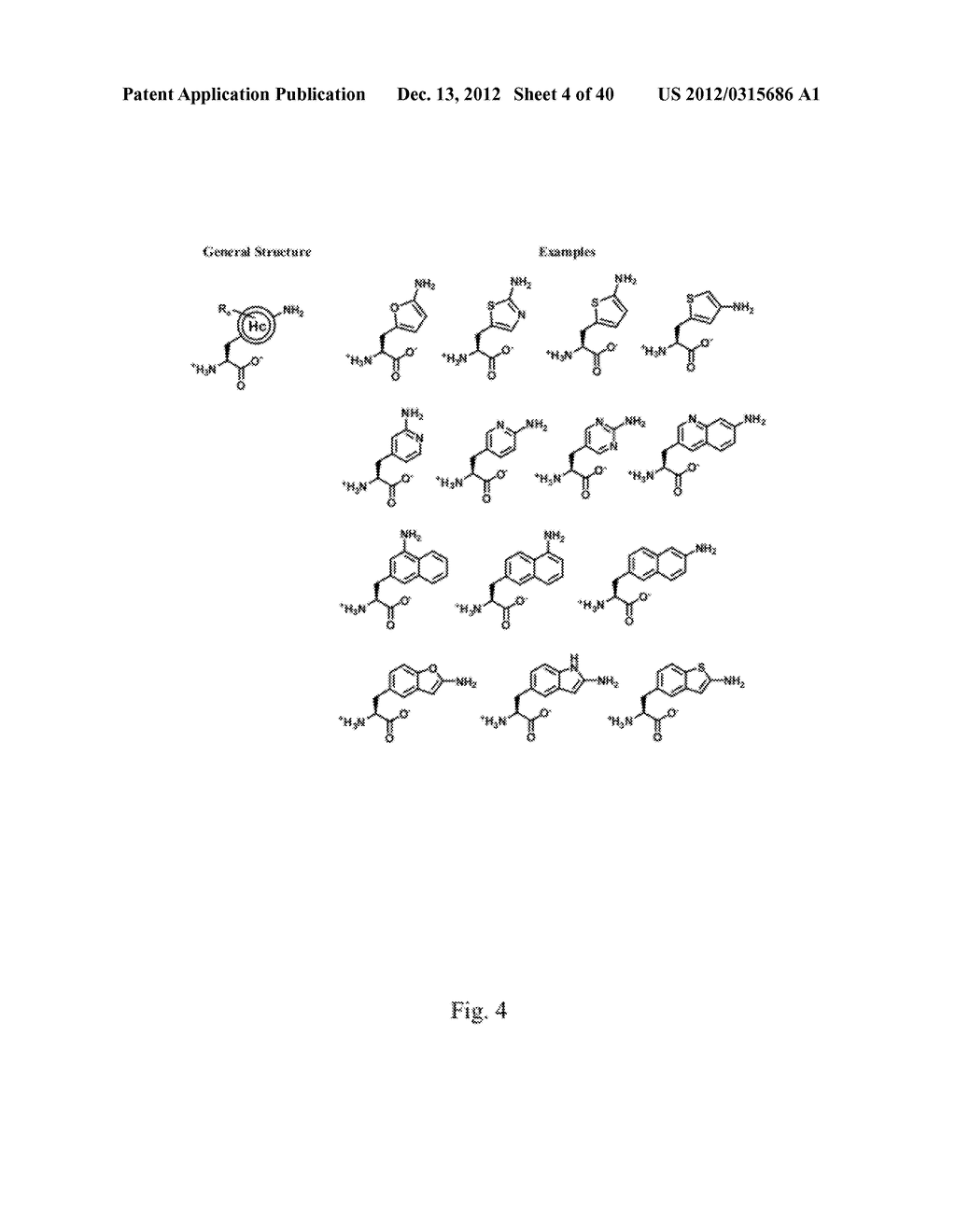 COMPOSITIONS CONTAINING, METHODS INVOLVING, AND USES OF NON-NATURAL AMINO     ACIDS AND POLYPEPTIDES - diagram, schematic, and image 05