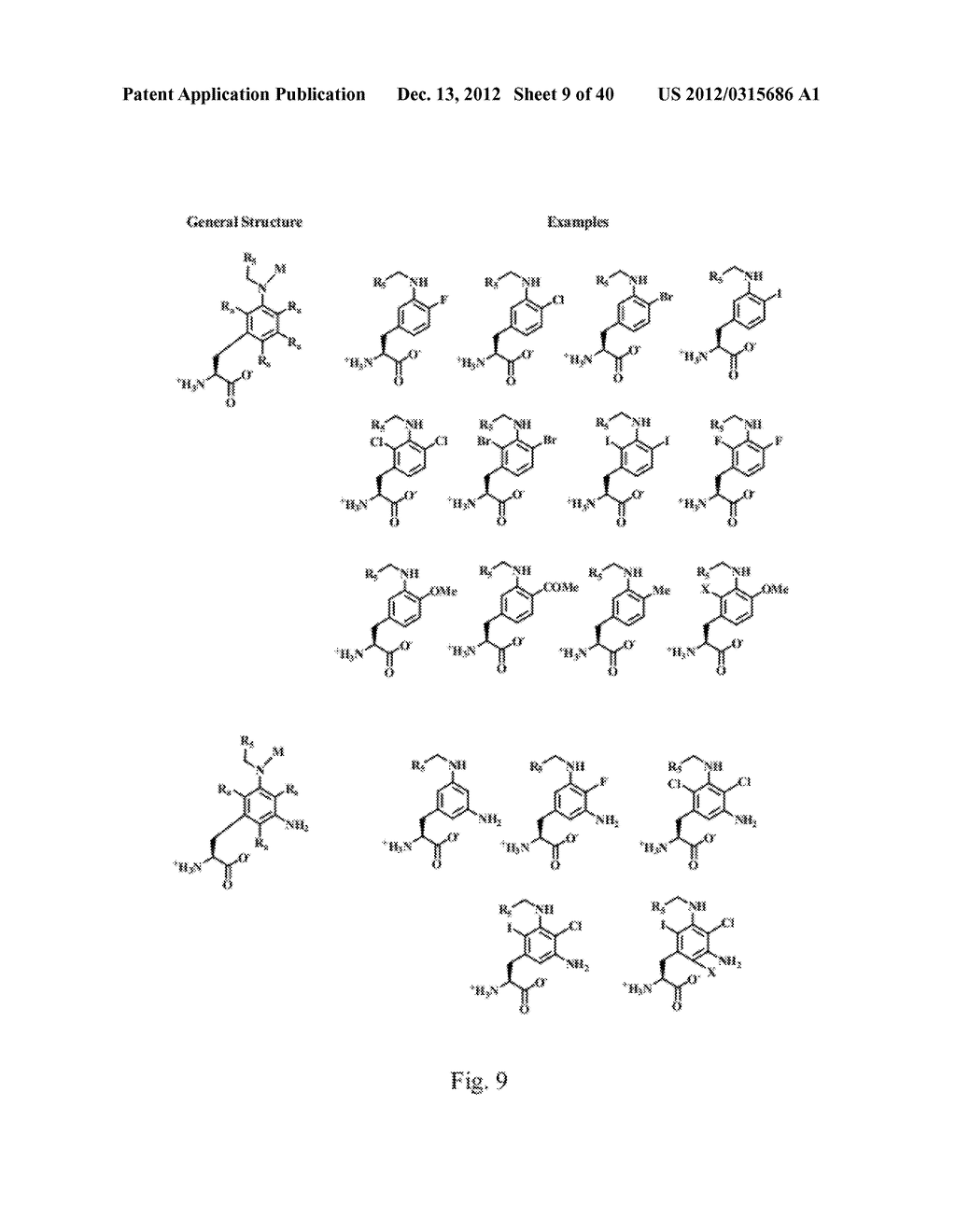 COMPOSITIONS CONTAINING, METHODS INVOLVING, AND USES OF NON-NATURAL AMINO     ACIDS AND POLYPEPTIDES - diagram, schematic, and image 10