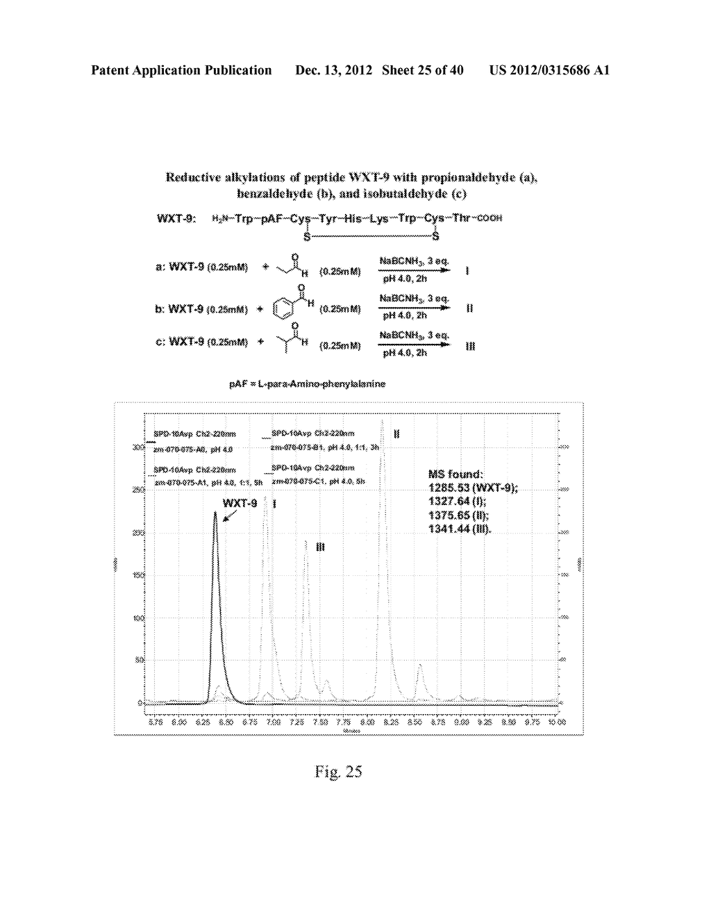 COMPOSITIONS CONTAINING, METHODS INVOLVING, AND USES OF NON-NATURAL AMINO     ACIDS AND POLYPEPTIDES - diagram, schematic, and image 26