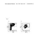 PEPTIDE INHIBITING DIFFERENTIATION OF HEMATOPOIETIC STEM CELLS OR     HEMATOPOIETIC PRECURSOR CELLS AND USE OF SAME diagram and image