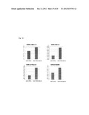 PEPTIDE INHIBITING DIFFERENTIATION OF HEMATOPOIETIC STEM CELLS OR     HEMATOPOIETIC PRECURSOR CELLS AND USE OF SAME diagram and image