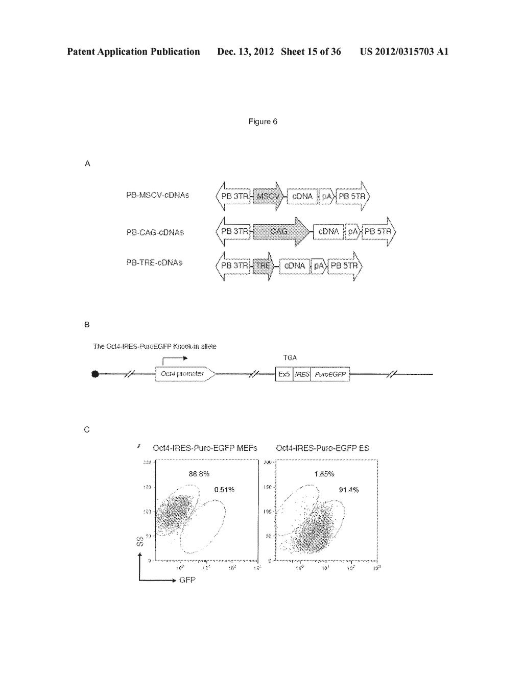 CELLS AND METHODS FOR OBTAINING THEM - diagram, schematic, and image 16