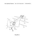 SYSTEM AND METHOD FOR PROCESSING SLAUGHTERED ANIMALS AND/OR PARTS THEREOF diagram and image