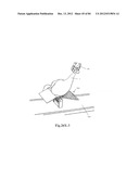 SYSTEM AND METHOD FOR PROCESSING SLAUGHTERED ANIMALS AND/OR PARTS THEREOF diagram and image