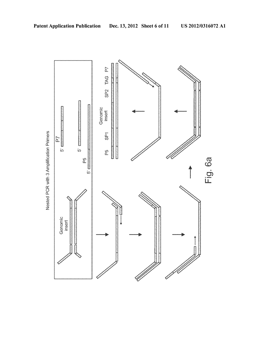 Methods for indexing samples and sequencing multiple polynucleotide     templates - diagram, schematic, and image 07