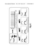 NUCLEIC ACID DETECTION AND QUANTIFICATION BY POST-HYBRIDIZATION LABELING     AND UNIVERSAL ENCODING diagram and image