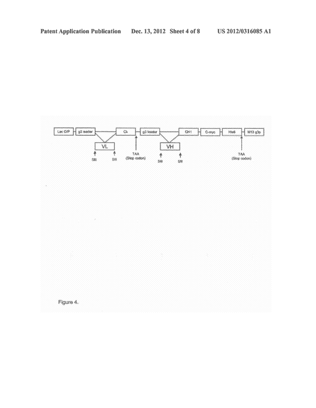 ANTIBODY HUMANIZATION BY FRAMEWORK ASSEMBLY - diagram, schematic, and image 05