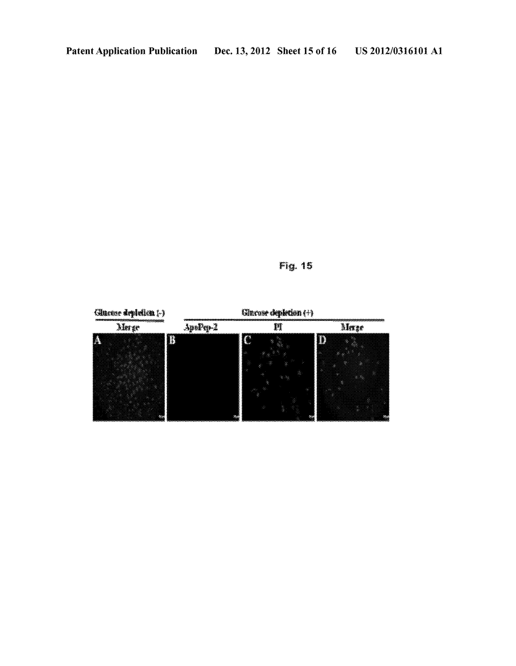 PEPTIDES FOR TARGETING APOPTOTIC CELLS AND USES THEREOF - diagram, schematic, and image 16