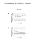 METHODS AND COMPOSITIONS FOR INHIBITING ANGIOGENESIS diagram and image