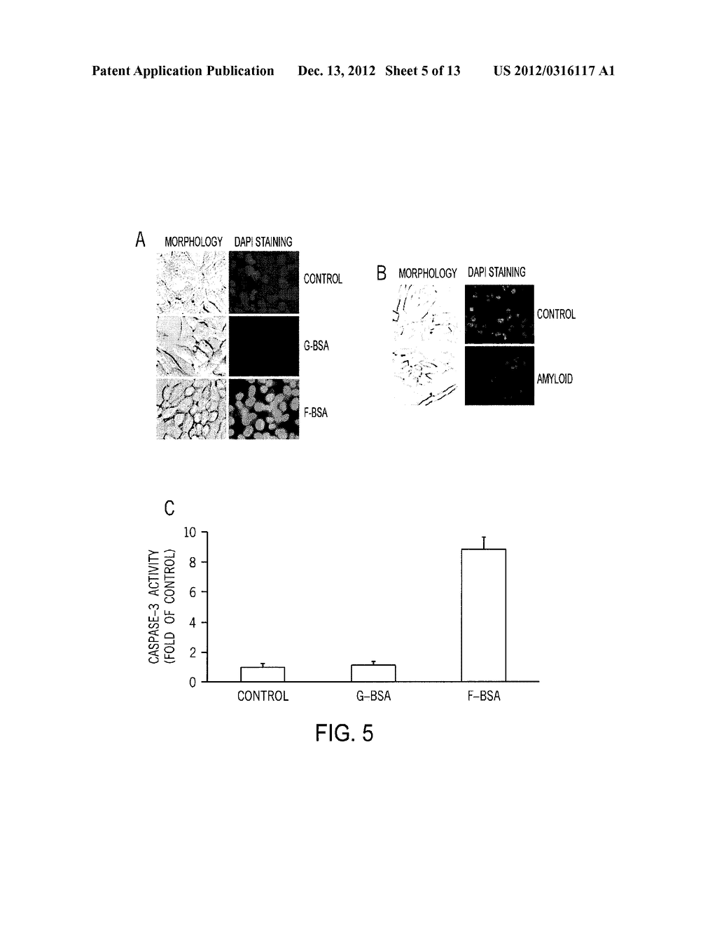 PROCESS TO PRODUCE FIBRILLAR PROTEINS AND METHOD OF TREATMENT USING     FIBRILLAR PROTEINS - diagram, schematic, and image 06