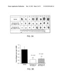 Compositions and Methods for Modulating a Kinase diagram and image