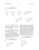 ARYL-PYRIDINE DERIVATIVES AS ALDOSTERONE SYNTHASE INHIBITORS diagram and image